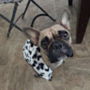 Meet your Posher, Cursti